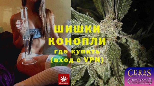 соль ск Гусев