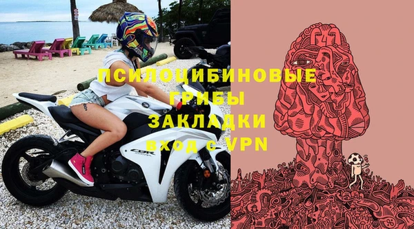 соль ск Гусев