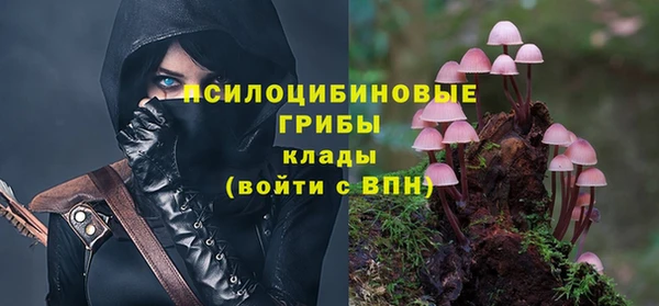 спайс Гусь-Хрустальный