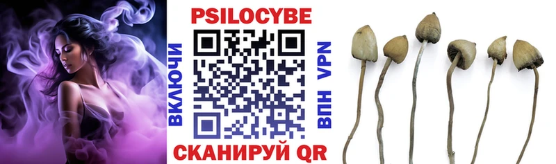 Галлюциногенные грибы мухоморы  mega ссылки  Хасавюрт 