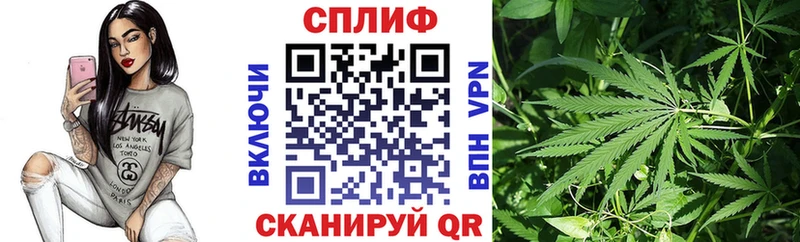 Канабис THC 21%  хочу наркоту  Хасавюрт 